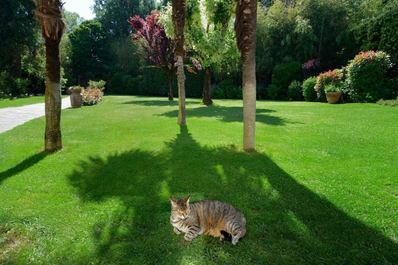 Villa Le Facezie B&B Terranuova Bracciolini Extérieur photo