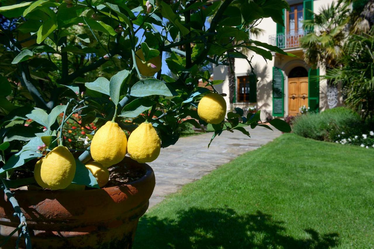 Villa Le Facezie B&B Terranuova Bracciolini Extérieur photo